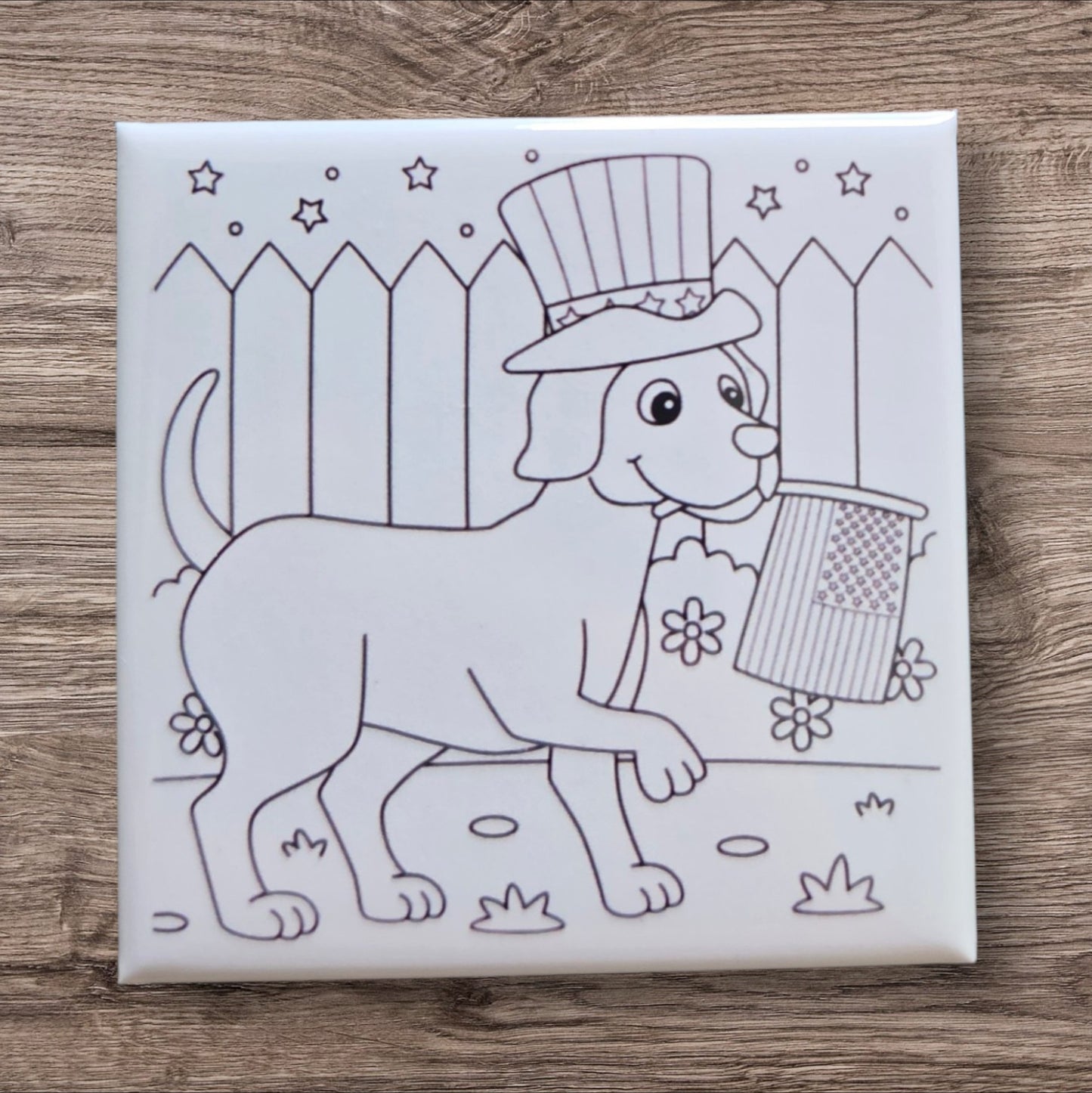 Dry Erase Coloring Magnets- 4th of July